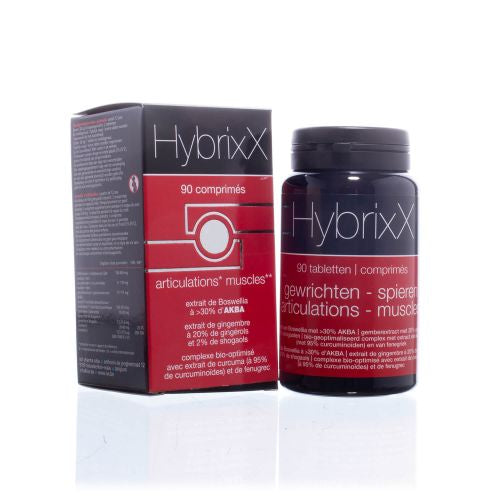 HybrixX 90 articulations / muscles